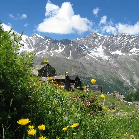 Daire Ferienhaus-apartment Golf Saas Fee